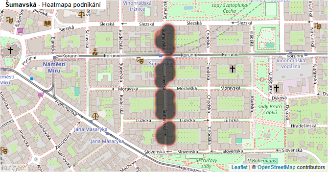Šumavská - mapa podnikání