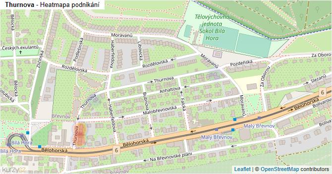 Thurnova - mapa podnikání