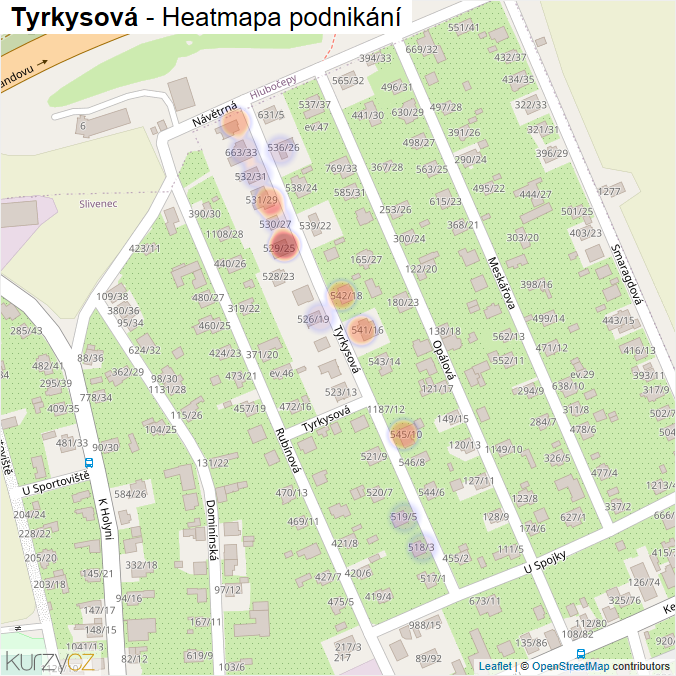 Mapa Tyrkysová - Firmy v ulici.