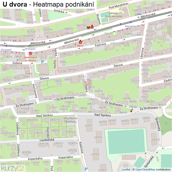 Mapa U dvora - Firmy v ulici.