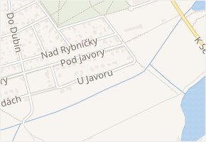 U javoru v obci Praha - mapa ulice