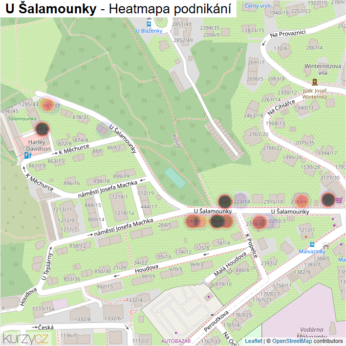Mapa U Šalamounky - Firmy v ulici.