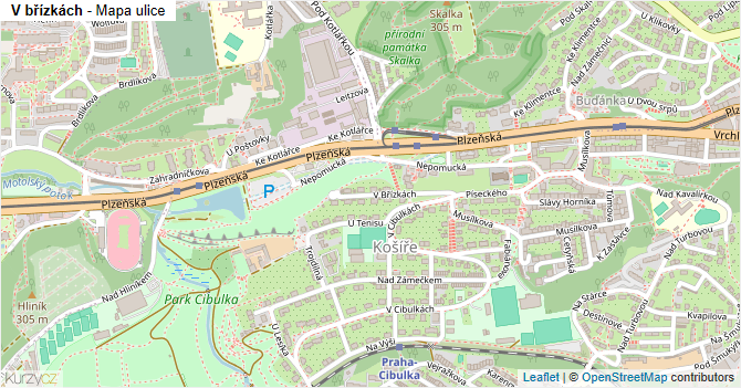 V břízkách - mapa ulice