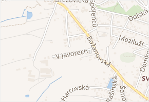 V javorech v obci Praha - mapa ulice