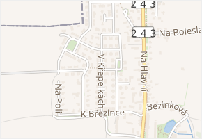 V křepelkách v obci Praha - mapa ulice
