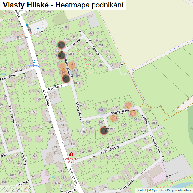 Mapa Vlasty Hilské - Firmy v ulici.