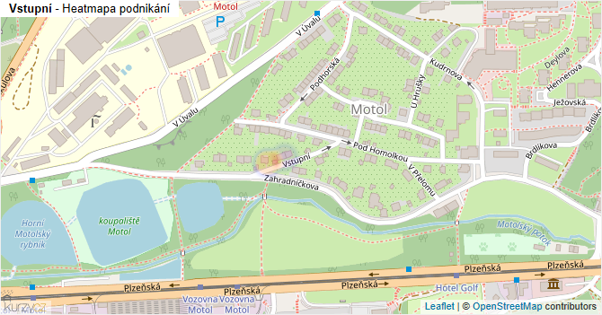Vstupní - mapa podnikání