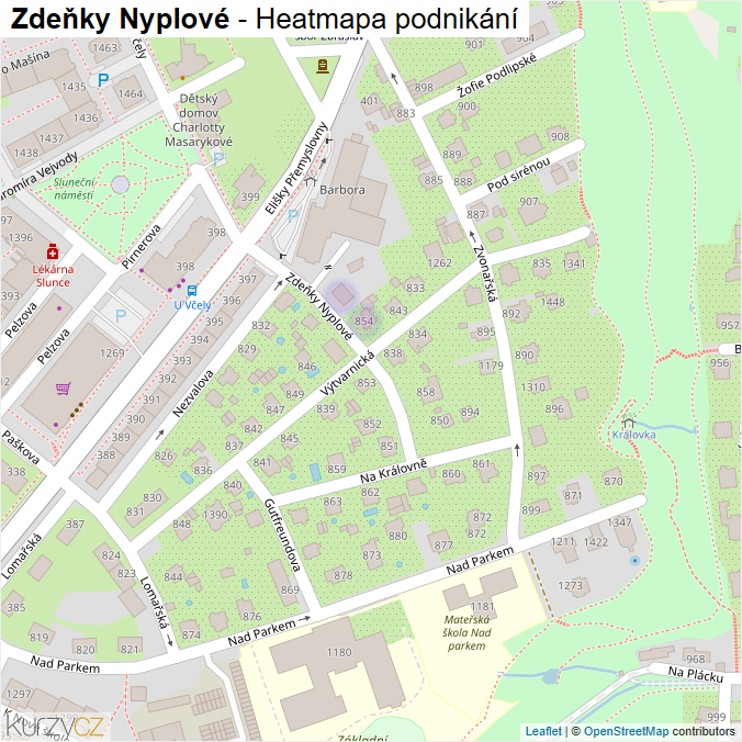 Mapa Zdeňky Nyplové - Firmy v ulici.