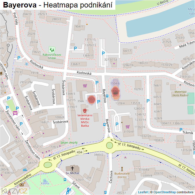 Mapa Bayerova - Firmy v ulici.
