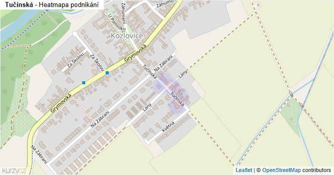 Tučínská - mapa podnikání