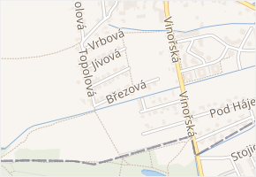 Březová v obci Přezletice - mapa ulice