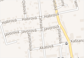 Javorová v obci Přezletice - mapa ulice