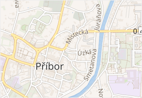 Viznarova v obci Příbor - mapa ulice