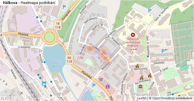 Hálkova - mapa podnikání