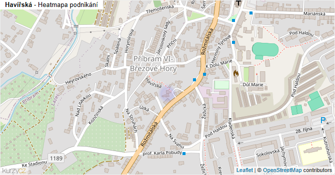 Havířská - mapa podnikání