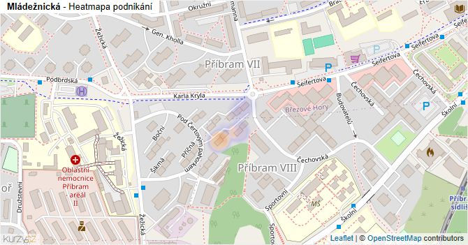 Mládežnická - mapa podnikání