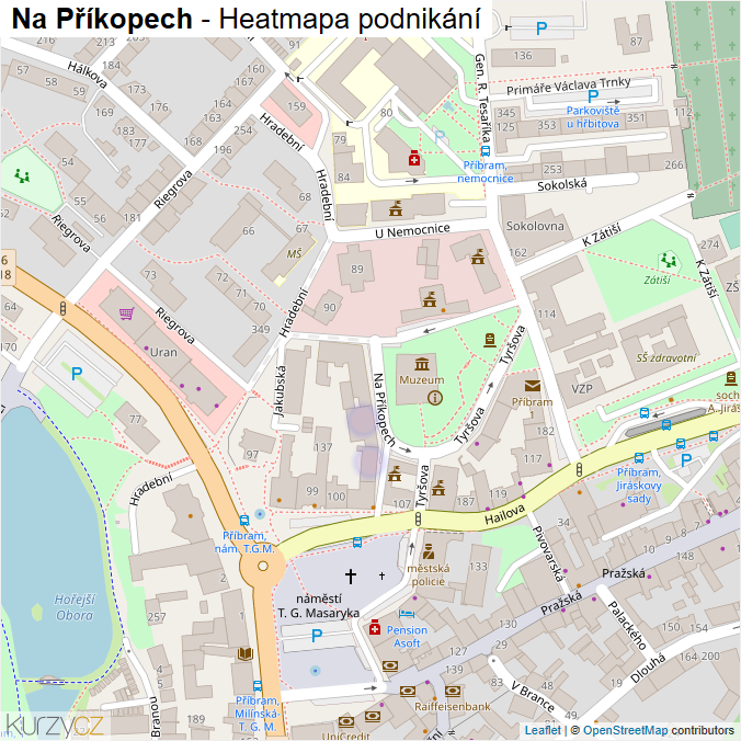 Mapa Na Příkopech - Firmy v ulici.