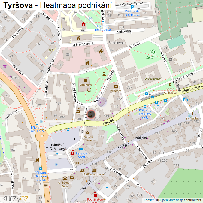 Mapa Tyršova - Firmy v ulici.