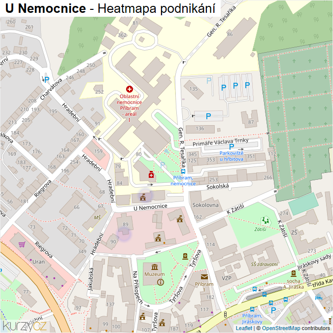 Mapa U Nemocnice - Firmy v ulici.