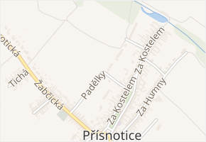 Padělky v obci Přísnotice - mapa ulice