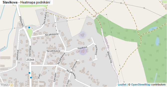 Slavíkova - mapa podnikání