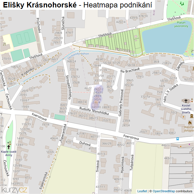 Mapa Elišky Krásnohorské - Firmy v ulici.