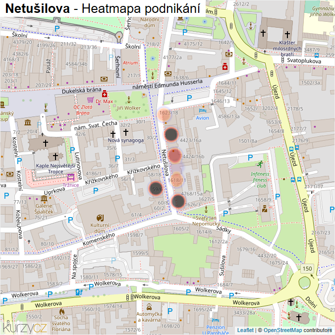 Mapa Netušilova - Firmy v ulici.