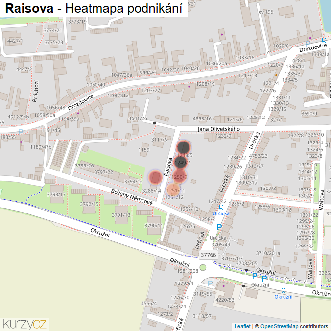 Mapa Raisova - Firmy v ulici.