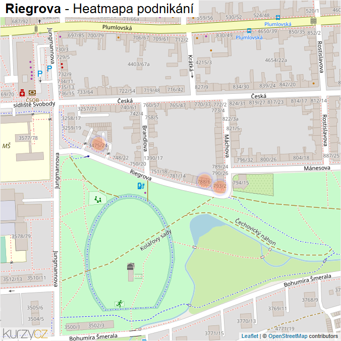 Mapa Riegrova - Firmy v ulici.