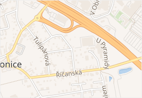 Kosatcová v obci Průhonice - mapa ulice