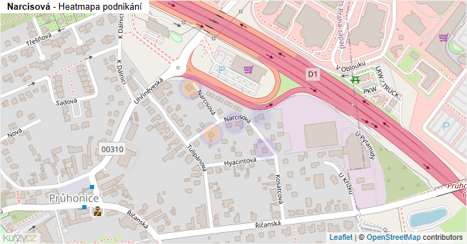 Narcisová - mapa podnikání