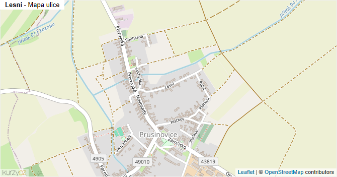 Lesní - mapa ulice