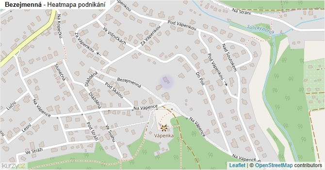 Bezejmenná - mapa podnikání