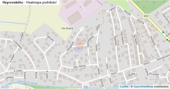 Heyrovského - mapa podnikání