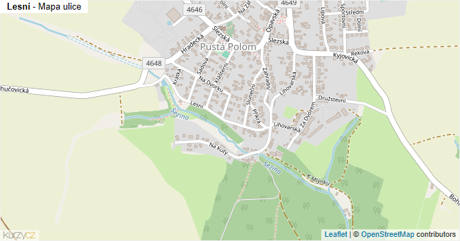 Lesní - mapa ulice