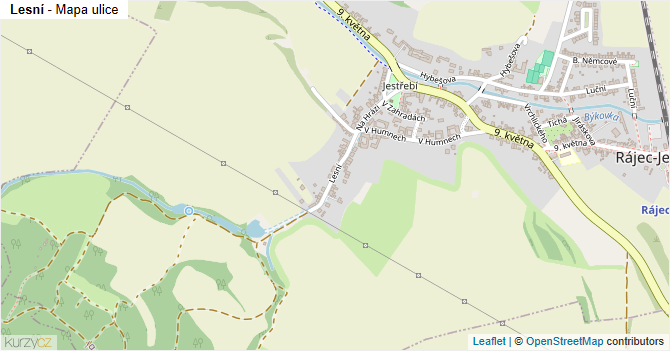 Lesní - mapa ulice