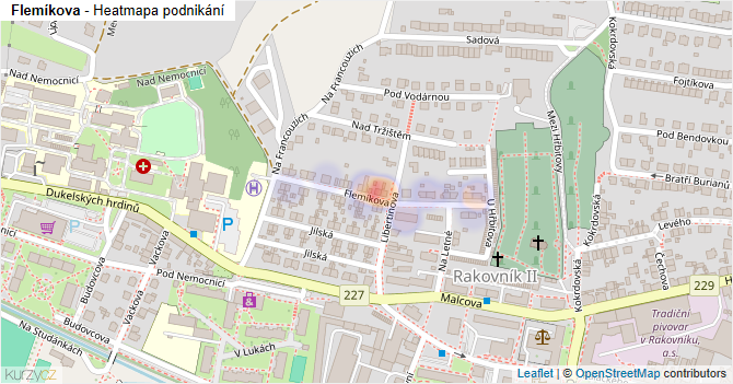 Flemíkova - mapa podnikání