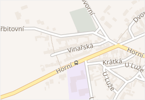 Vinařská v obci Rakvice - mapa ulice