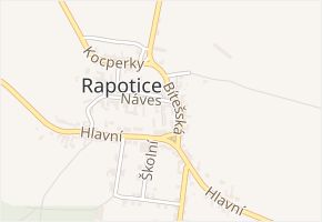 Za Hospodou v obci Rapotice - mapa ulice