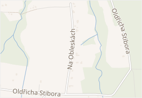 Na Obleskách v obci Řepiště - mapa ulice