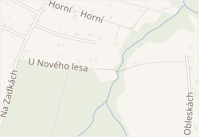 U Nového lesa v obci Řepiště - mapa ulice