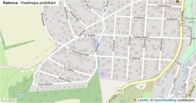 Raisova - mapa podnikání