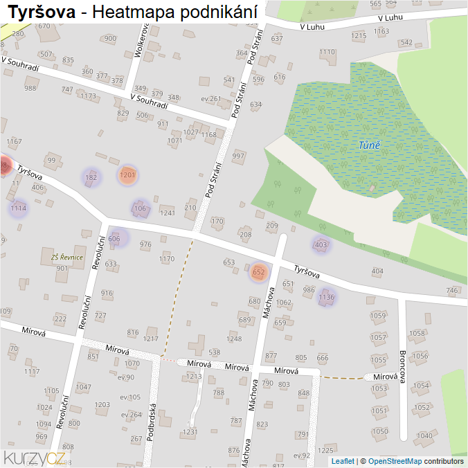 Mapa Tyršova - Firmy v ulici.