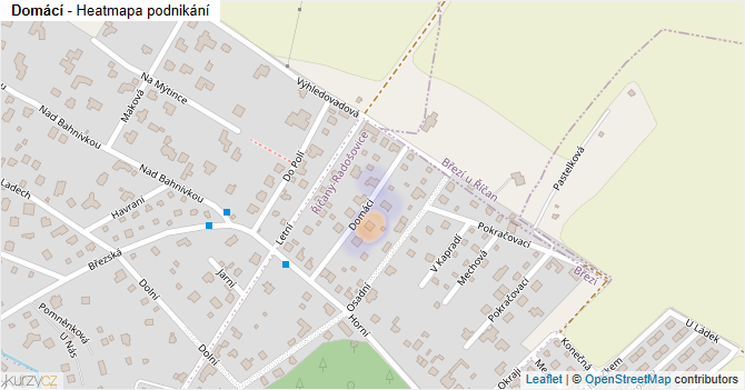 Domácí - mapa podnikání