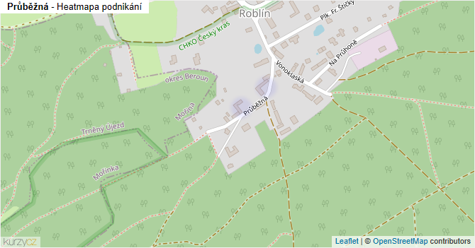 Průběžná - mapa podnikání