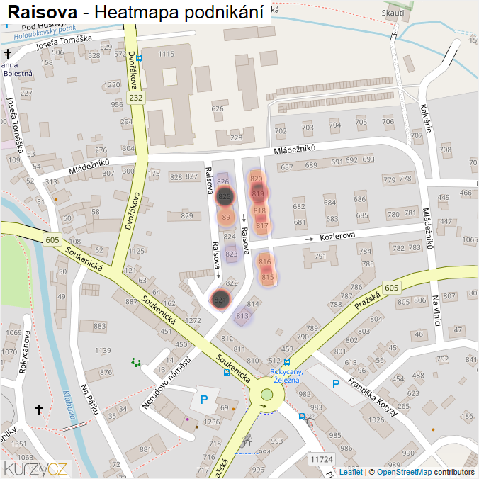 Mapa Raisova - Firmy v ulici.
