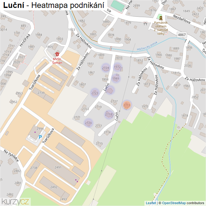 Mapa Luční - Firmy v ulici.