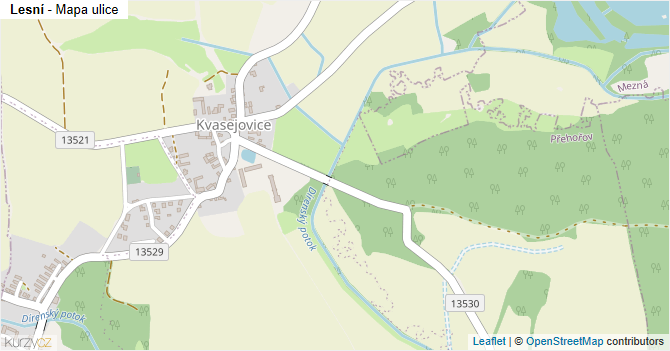 Lesní - mapa ulice