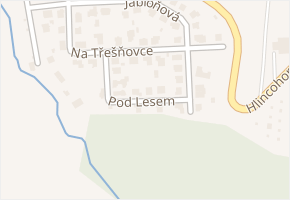 Pod lesem v obci Rudolfov - mapa ulice