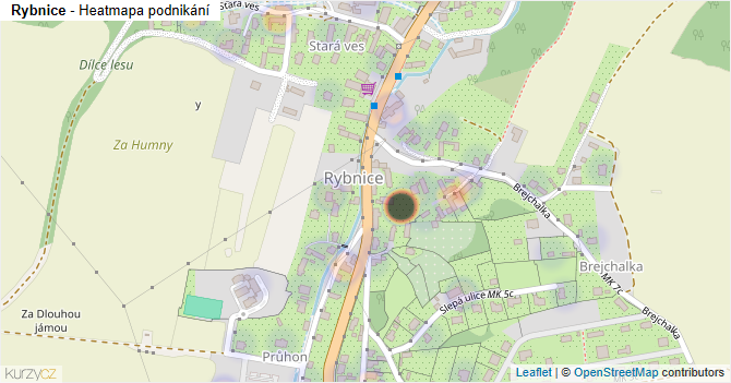 Rybnice - mapa podnikání